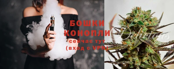 шишки Алзамай