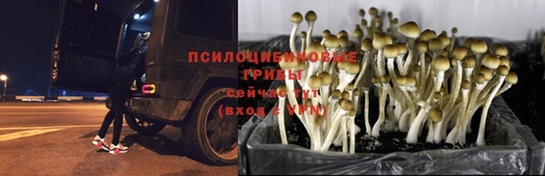 мефедрон Абаза